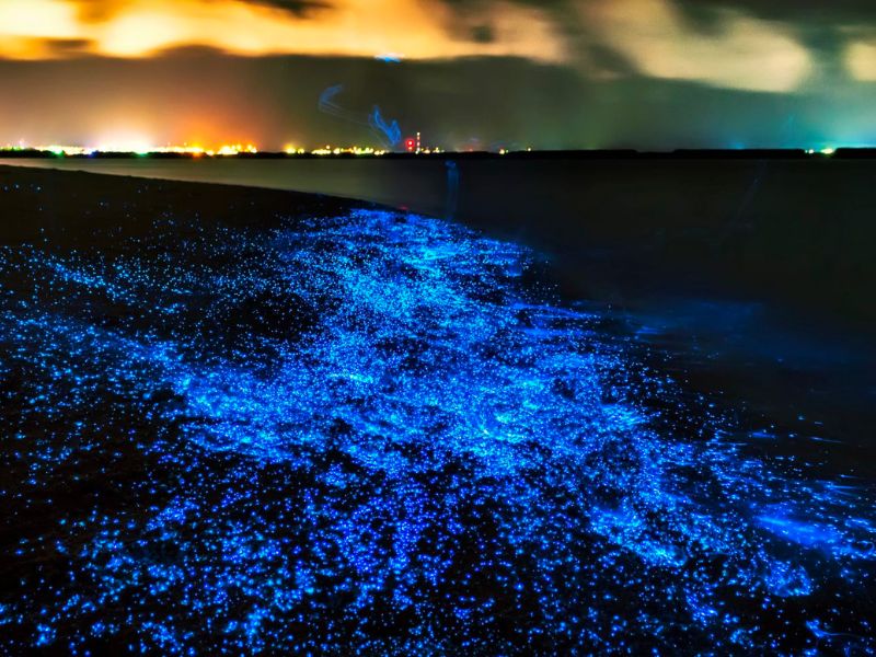 Vaadhoo Island at Raa Atoll