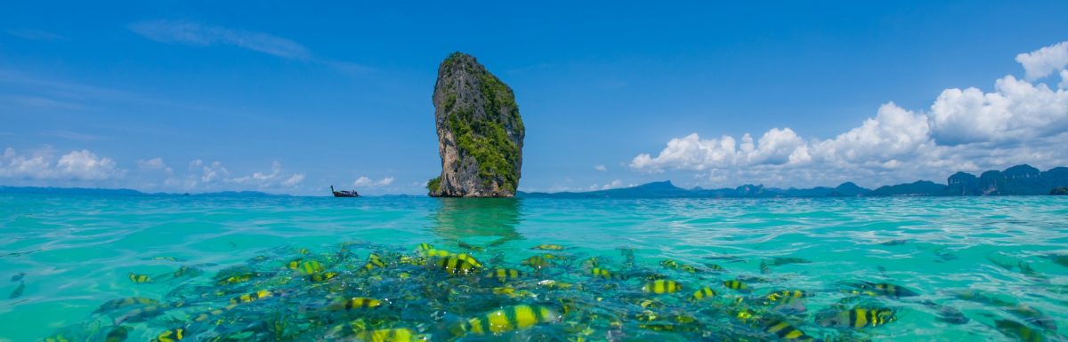 plan-a-thailand-trip-from-india