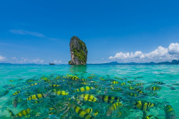 How to plan a Thailand trip from India?-Step-by-Step Guide