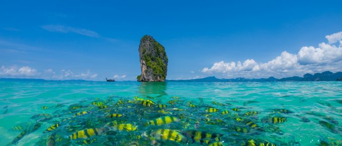 plan-a-thailand-trip-from-india