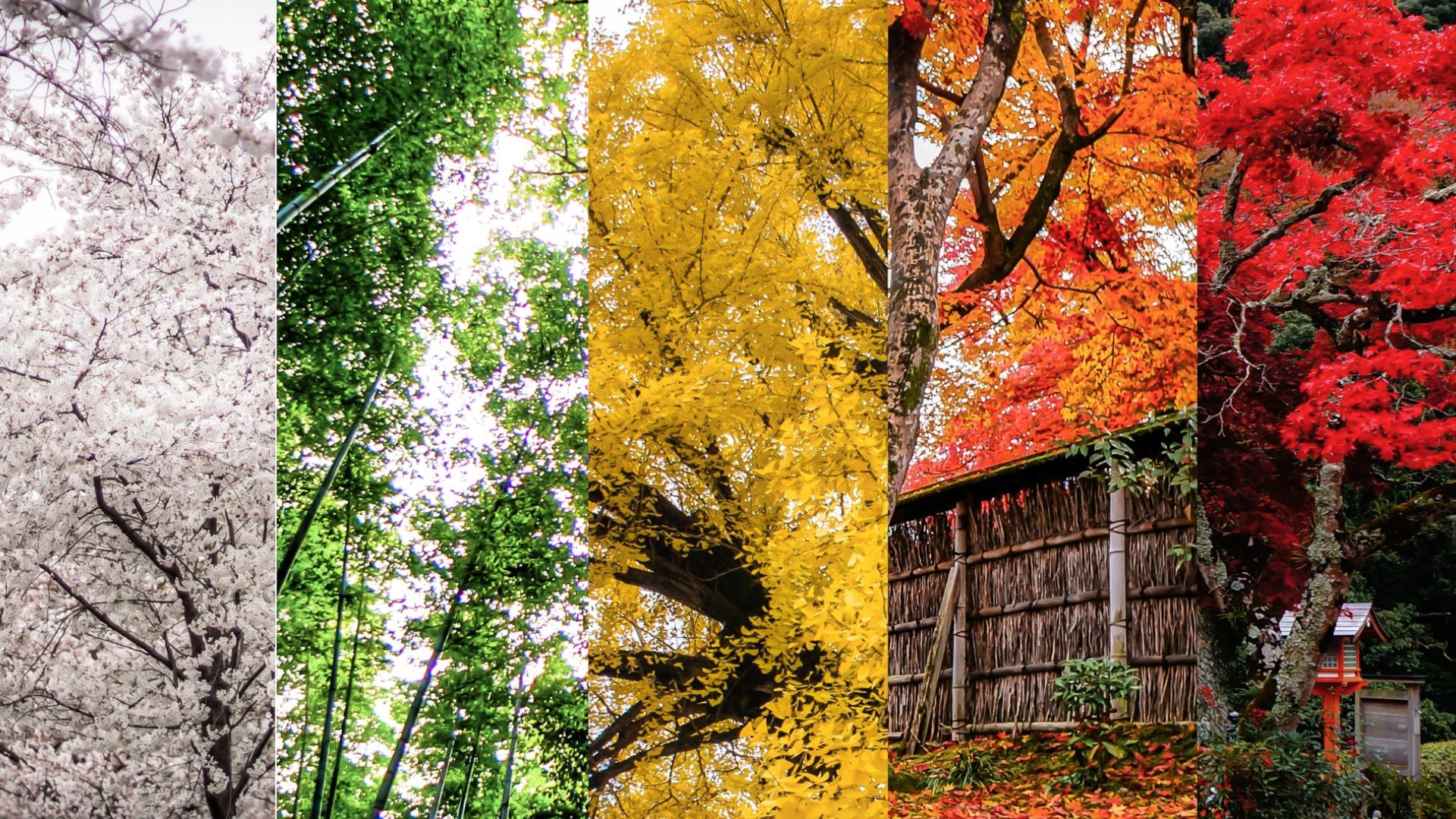 seasons