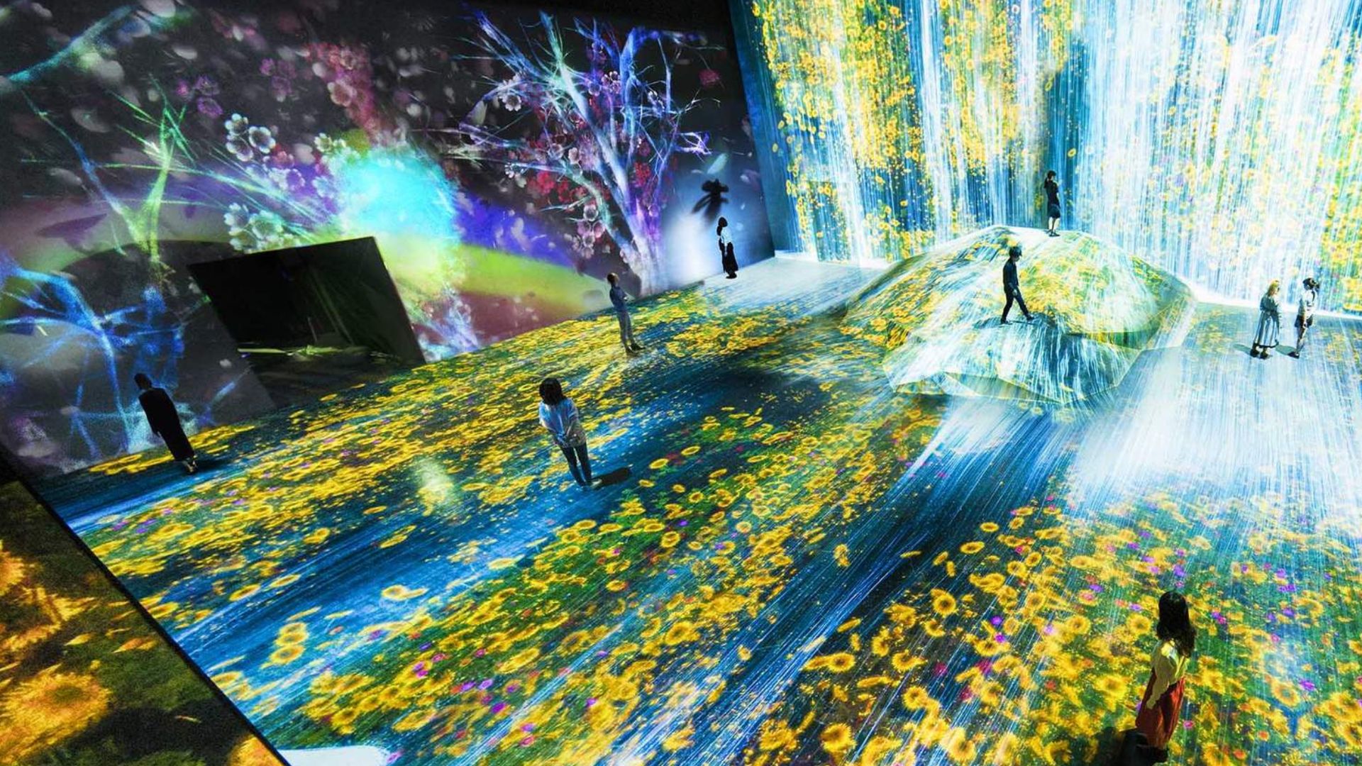 digital-art-museum-tokyo