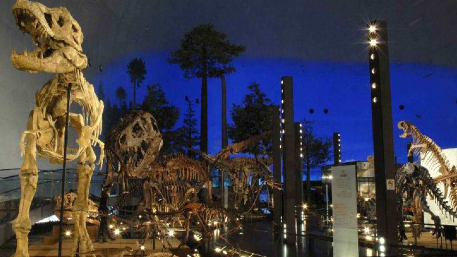 fukui-prefectural-dinosaur-museum-katsuyama