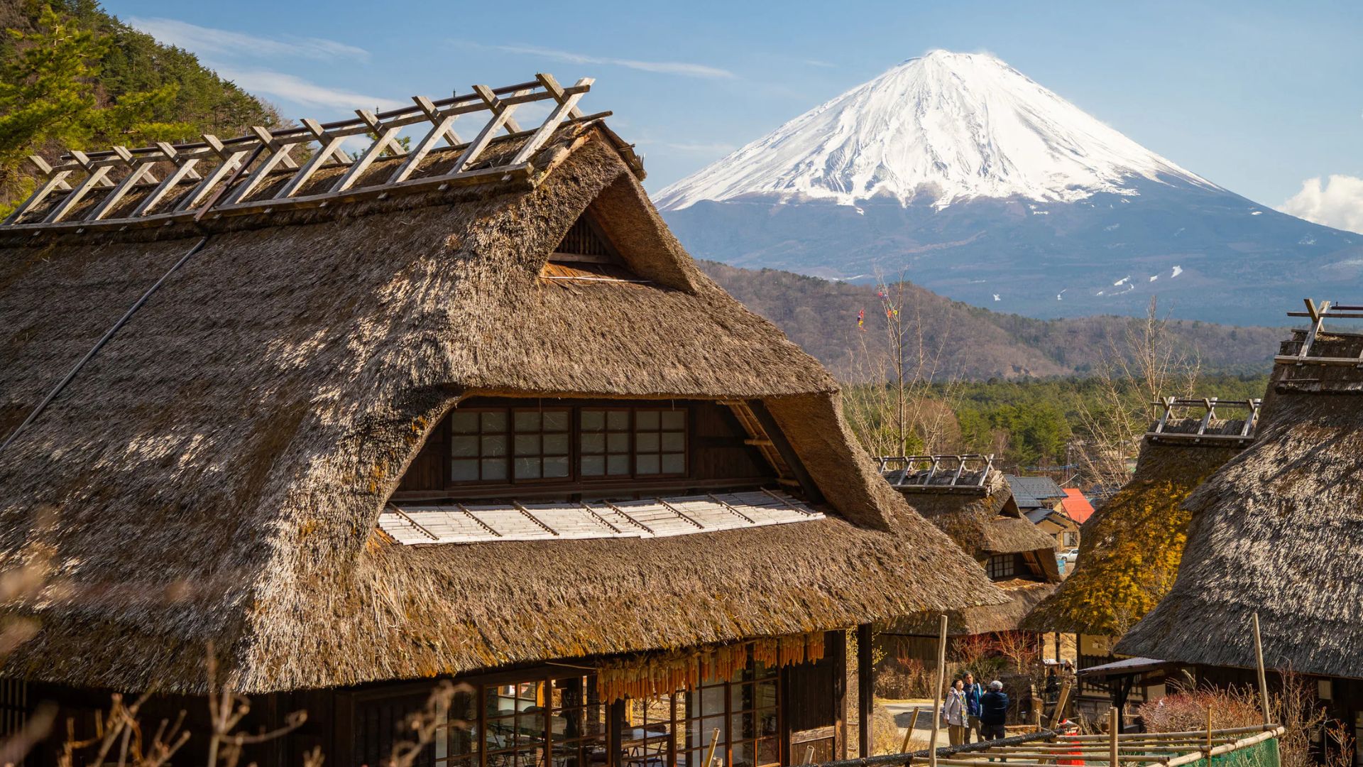 shinobi-no-sato-ninja-village-mount-fuji
