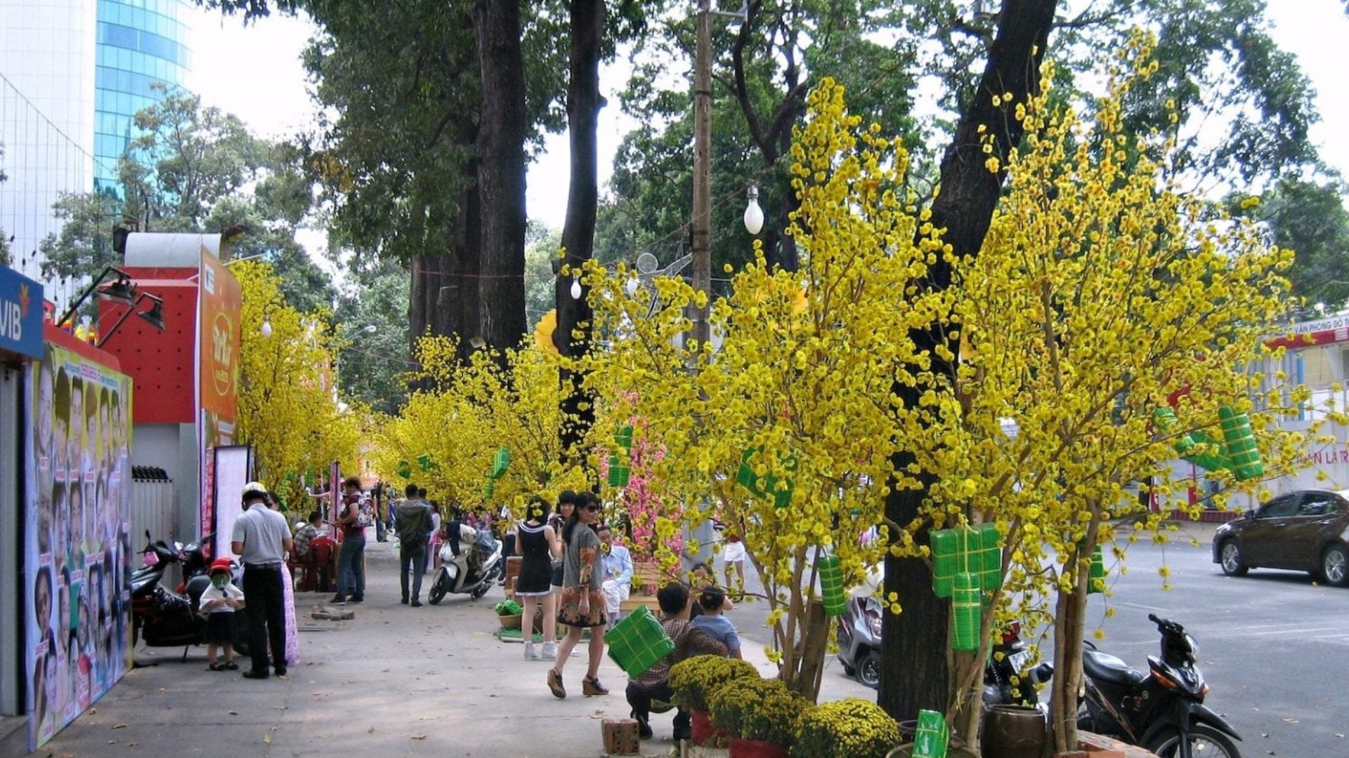 vietnam-in-february