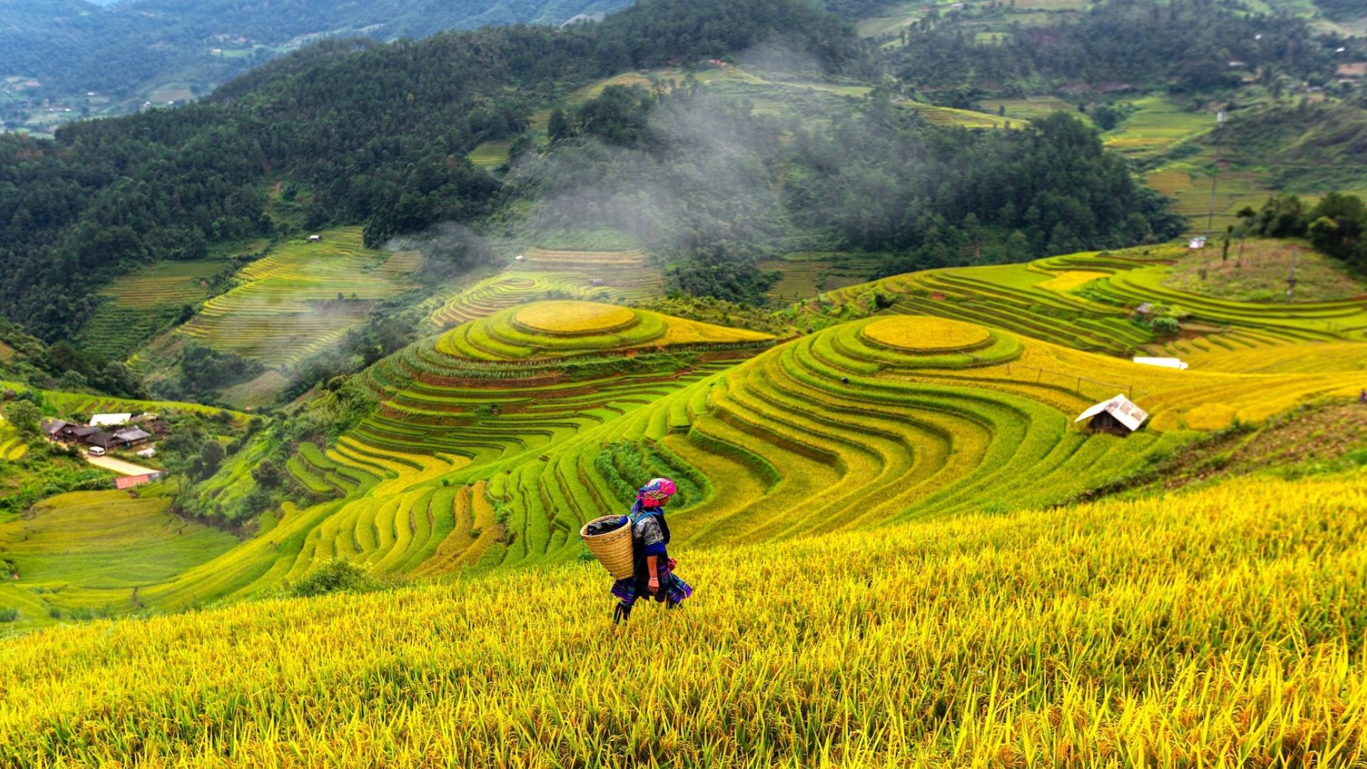 vietnam-in-september