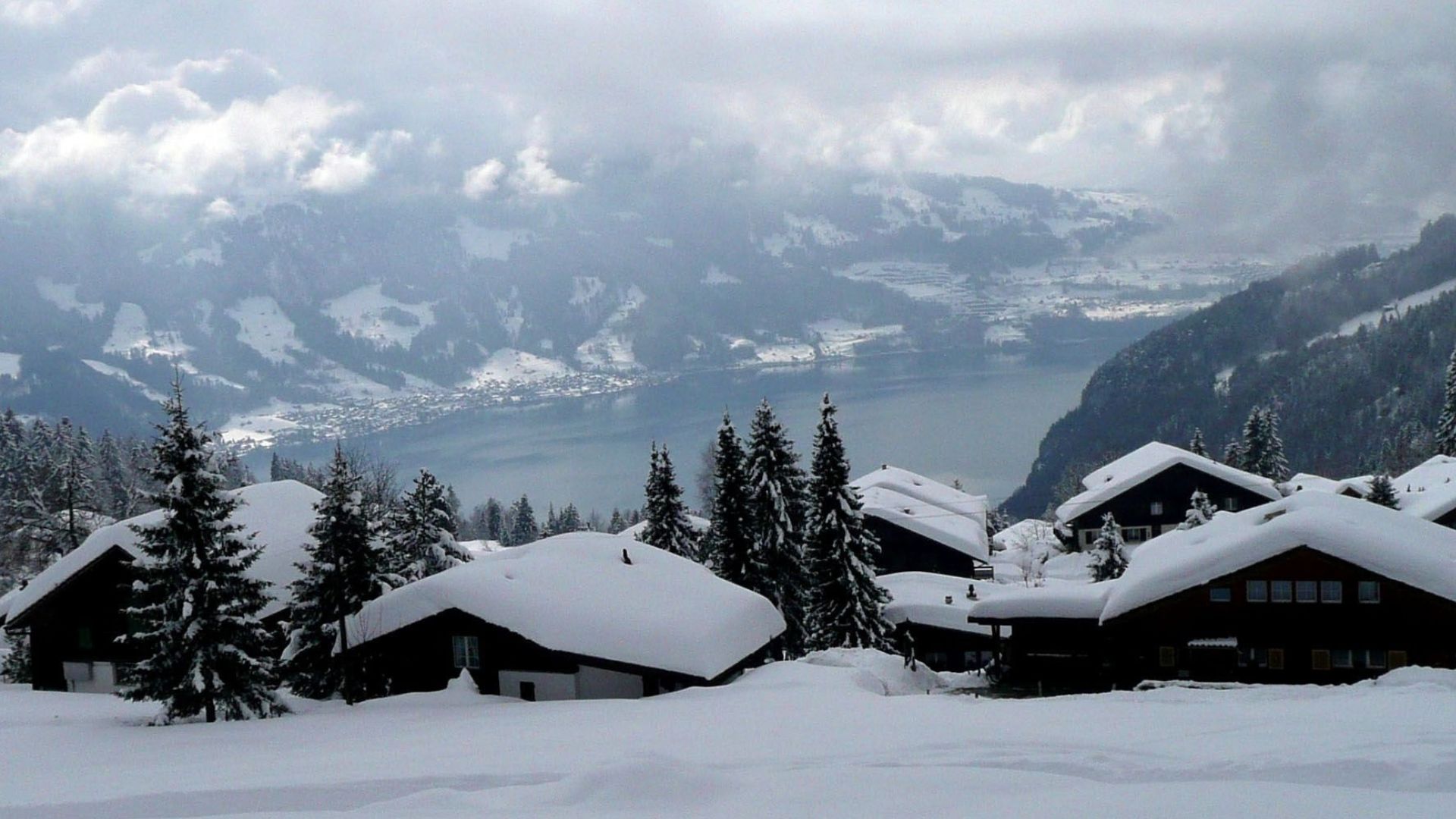 alpine-views 